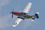 P51D Mustang 'Jersey Jerk' 3627