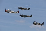 Republic P-47 Thunderbolt, Grumman Wildcat & Supermarine Spitfires 4224