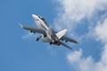 Boeing F/A 18F