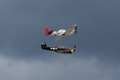 Curtiss P-40M Kittyhawk & P-51D Mustang