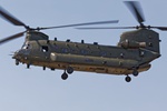 Chinook
