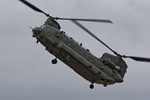 Chinook
