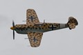 Buchon 0246