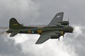 Sally B 9962