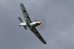 Buchon Yellow 10