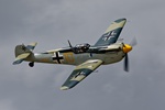 Buchon Yellow 10