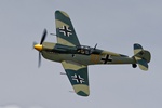 Buchon Yellow 10