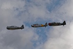 Harvards 