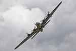 Sally B