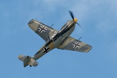 Buchon Yellow 10 8874