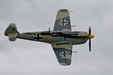 Buchon Yellow 10 8882