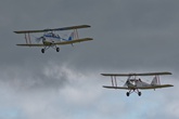 Tiger Moths 9084