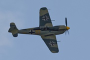 Buchon 4354
