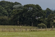 Parachutist, visiting the sheep 3355
