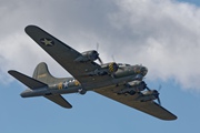 Sally B 3990