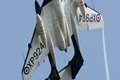 Sea Vixen