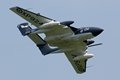Sea Vixen
