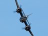 Bristol Blenheim