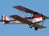 Tiger Moth
