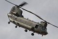 Chinook 1479