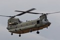 Chinook