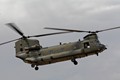 Chinook