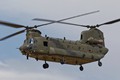 Chinook