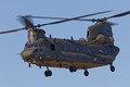 Chinook