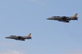 McDonnell Douglas AV-8B Harrier II pair 6847
