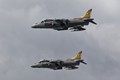 McDonnell Douglas AV-8B Harrier II pair 6870