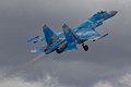 Sukhoi Su-27 Ukraine 4546
