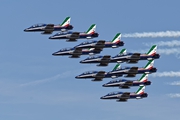Frecce Tricolori 5292