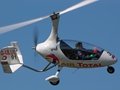 Calidus Autogyro