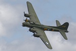 Sally B 9994