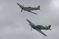 Seafire and Sea Hurricane 3897
