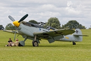 Buchon Yellow10 9147