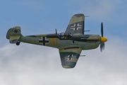 Buchon Yellow10 9305