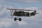 Fokker D.VII  0812