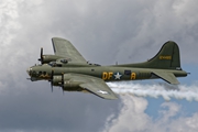 Sally B 7666