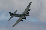 Sally B 9189