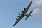 Sally B Bomb Doors 7634