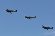 Spitfire Trio 9013