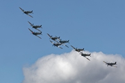 Spitfires 0211