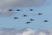 Spitfires 0257